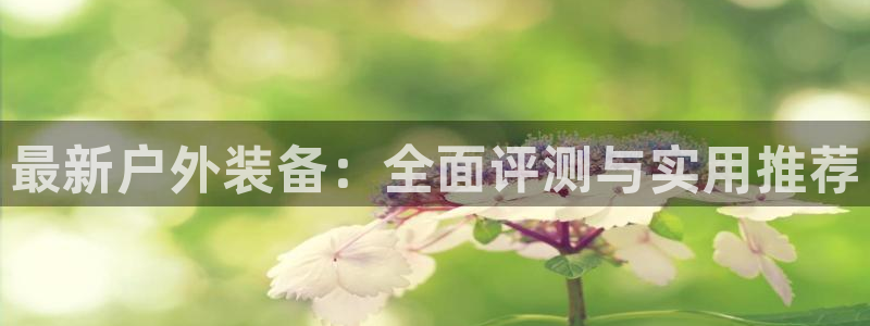 新宝gg传奇