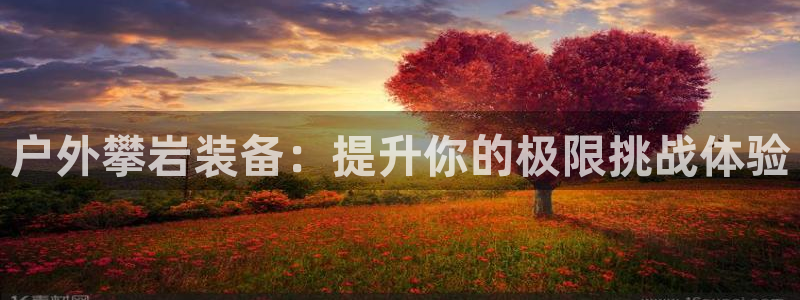 正版新宝gg