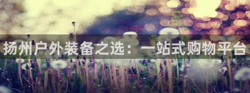 新宝gg手机登录官网