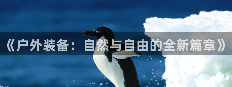 新宝gg挂机app