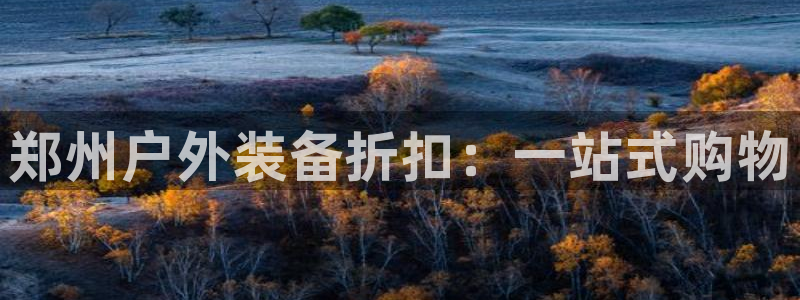 新宝gg总管