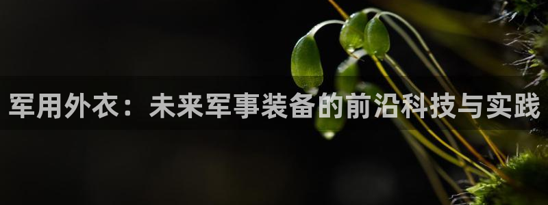 新宝gg娱乐首页