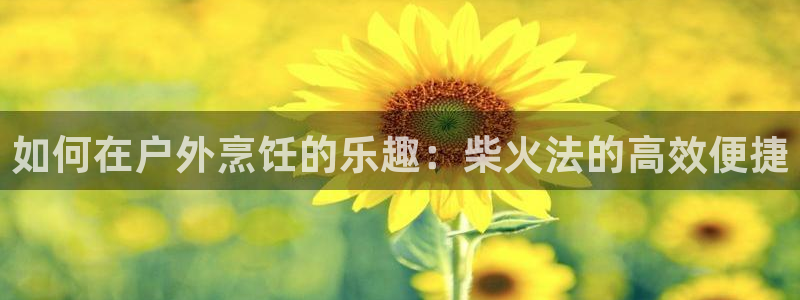 新宝GG—创造奇迹