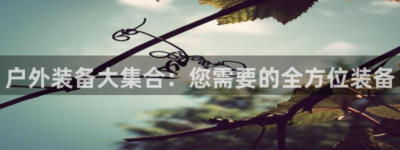 新宝gg代理