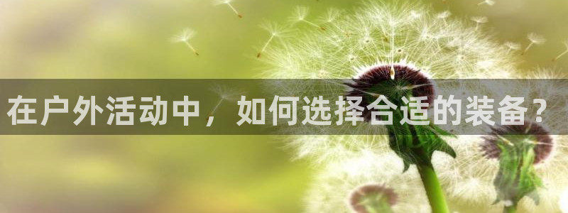 谁有新宝GG