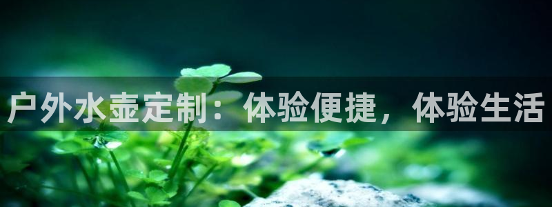 新宝gg注册首页