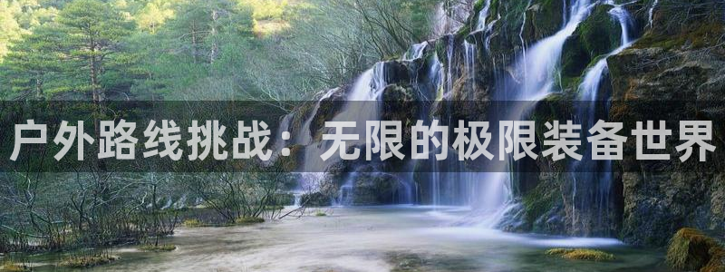 新宝gg平