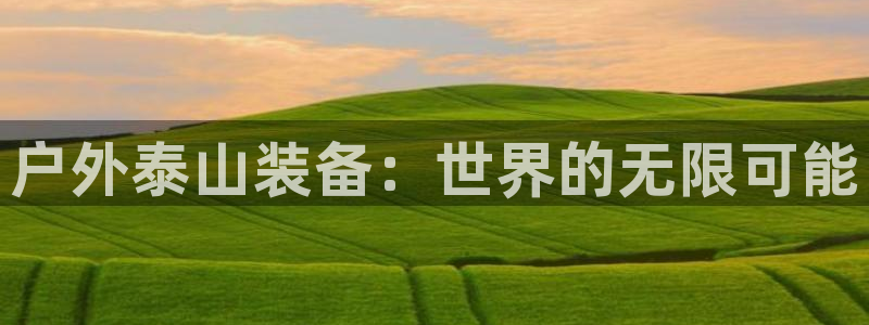 新宝gg公司