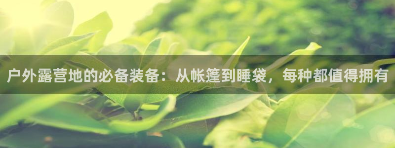 新宝gg代理条件