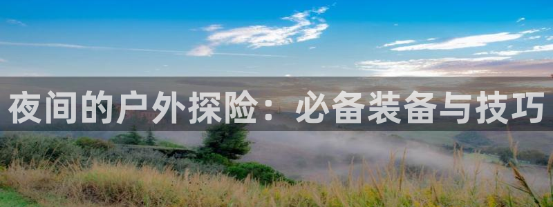 怎么代理新宝gg