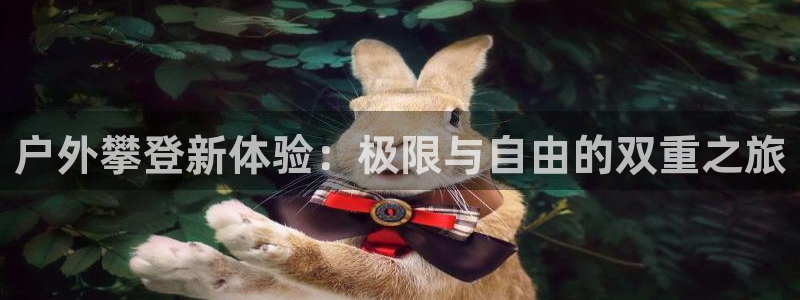 新宝gg直属