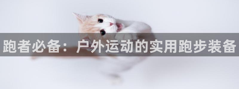 新宝gg4