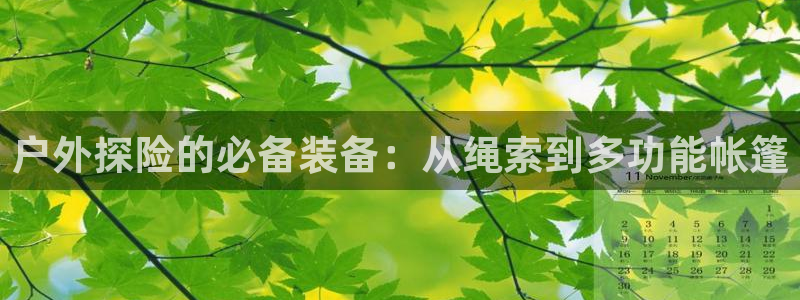 新宝gg下载官网下载