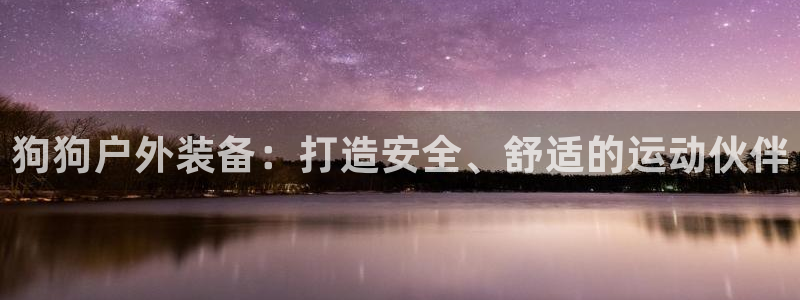 新宝gg 登陆