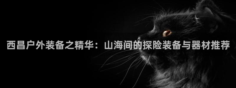 新宝gg什么