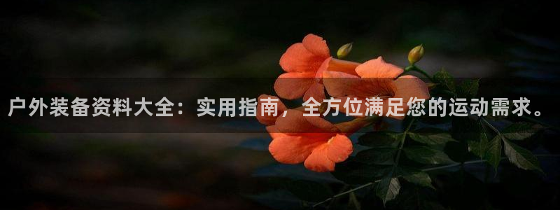 新宝GG创造奇