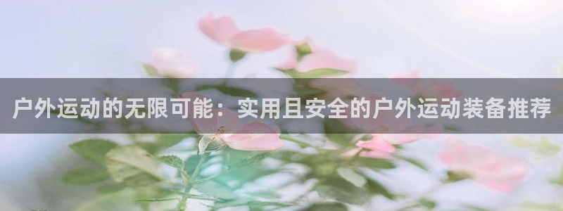 新宝gg主管、