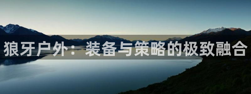 新宝gg代理条件