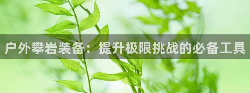 新宝gg注册登录网址