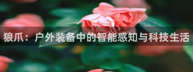 新宝gg平台下载安装