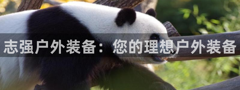 新宝gg登录线路测试