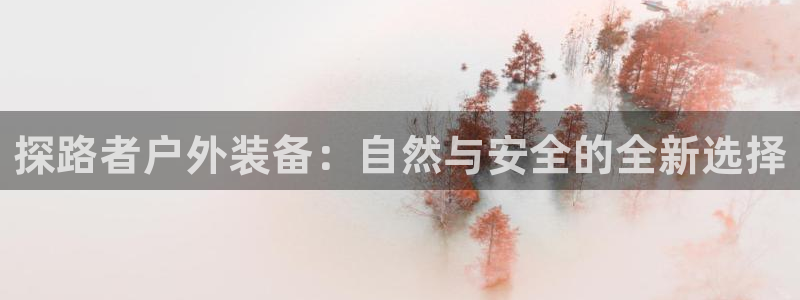 新宝gg登录地址