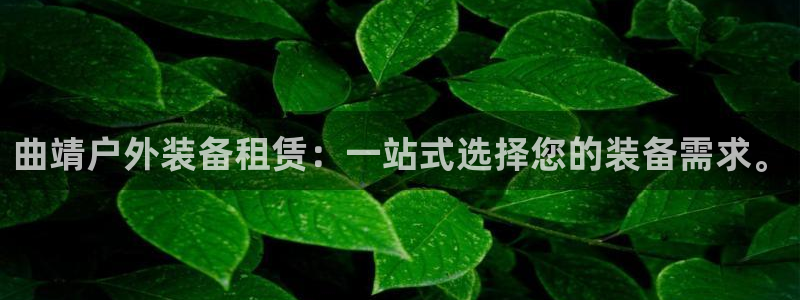 新宝gg指定平台