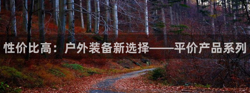 新宝gg软件下载