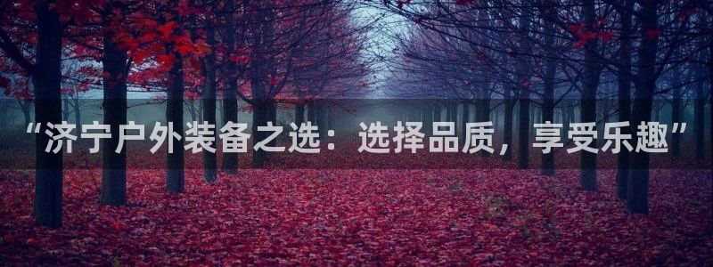 新宝gg高频彩票