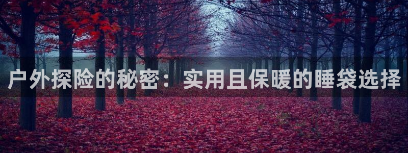 菲律宾新宝gg娱乐