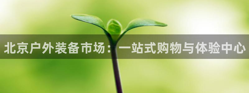 新宝gg怎样代理