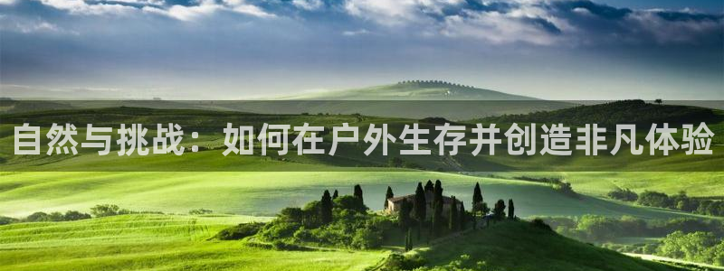 新宝gg高频彩票