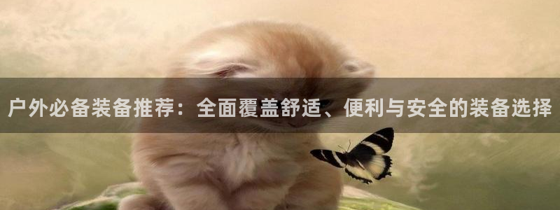 新宝gg真的能赚钱么