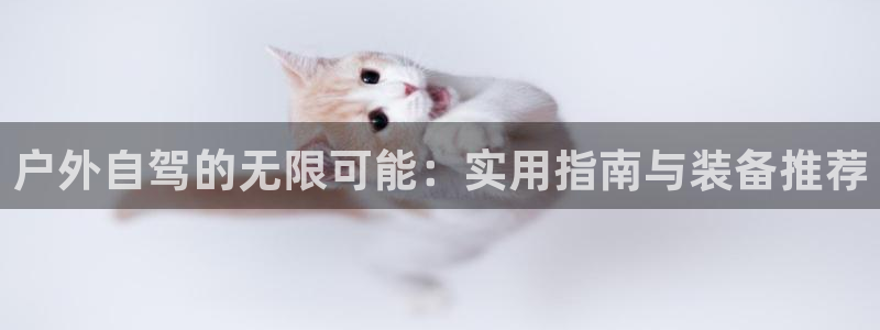 新宝gg为什么没人管