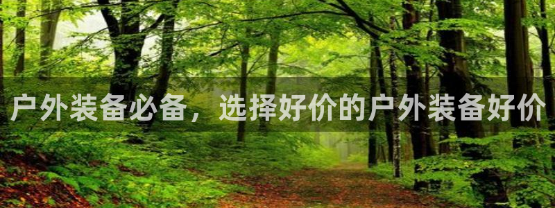 新宝GG最高返点多少