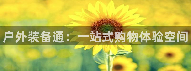 新宝gg官方主管