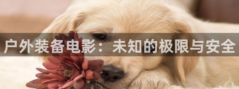 新宝GG于六七五一38