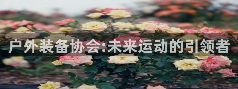 新宝gg注册平台