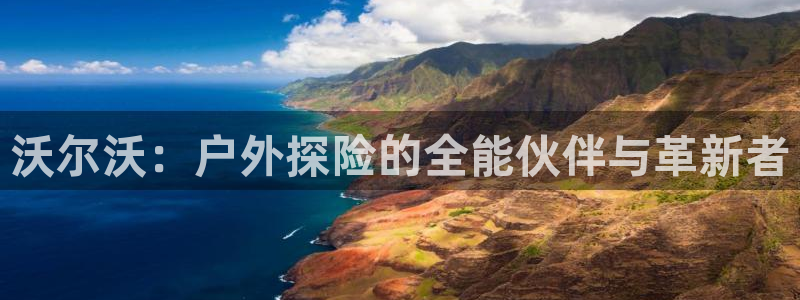 新宝GG用哪个网址登录