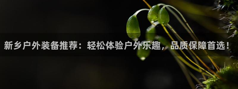 新宝gg招商-299136