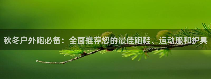 新宝gg娱乐平台