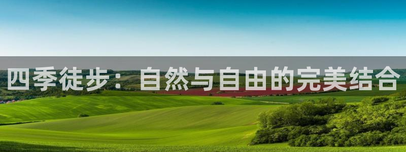 新宝gg娱乐首页