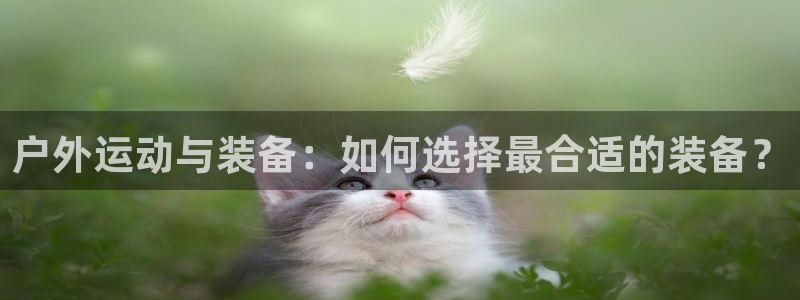 新宝gg创造奇迹平台