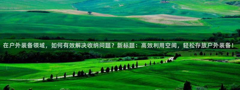 新宝GG官方域名