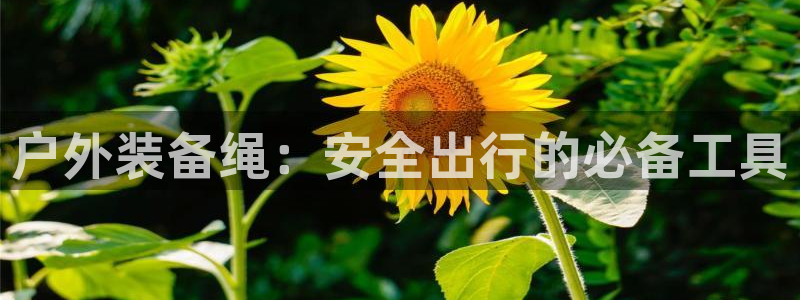 新宝gg手机