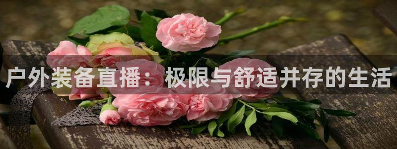 新宝gg登