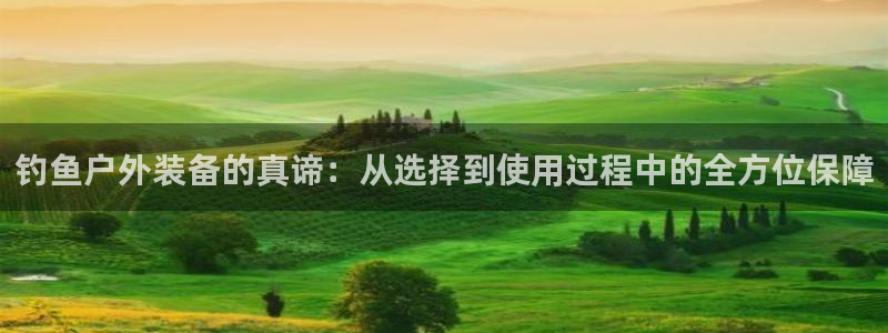 新宝gg有假吗