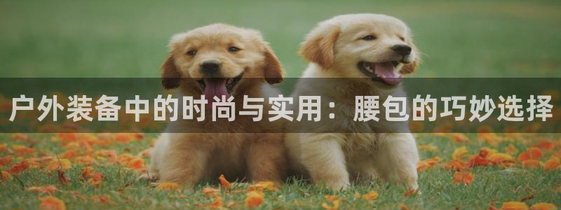 新宝gg测速登录