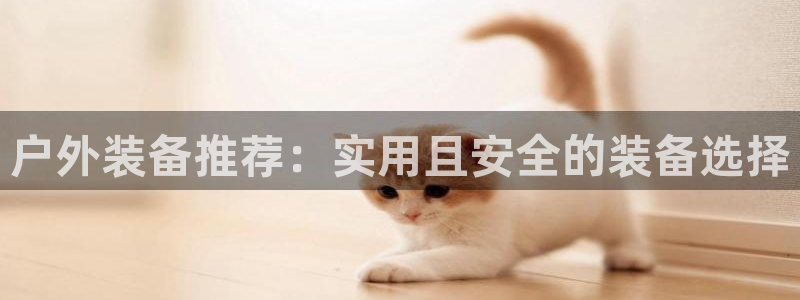 新宝gg 登陆