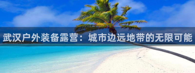 新宝gg专线